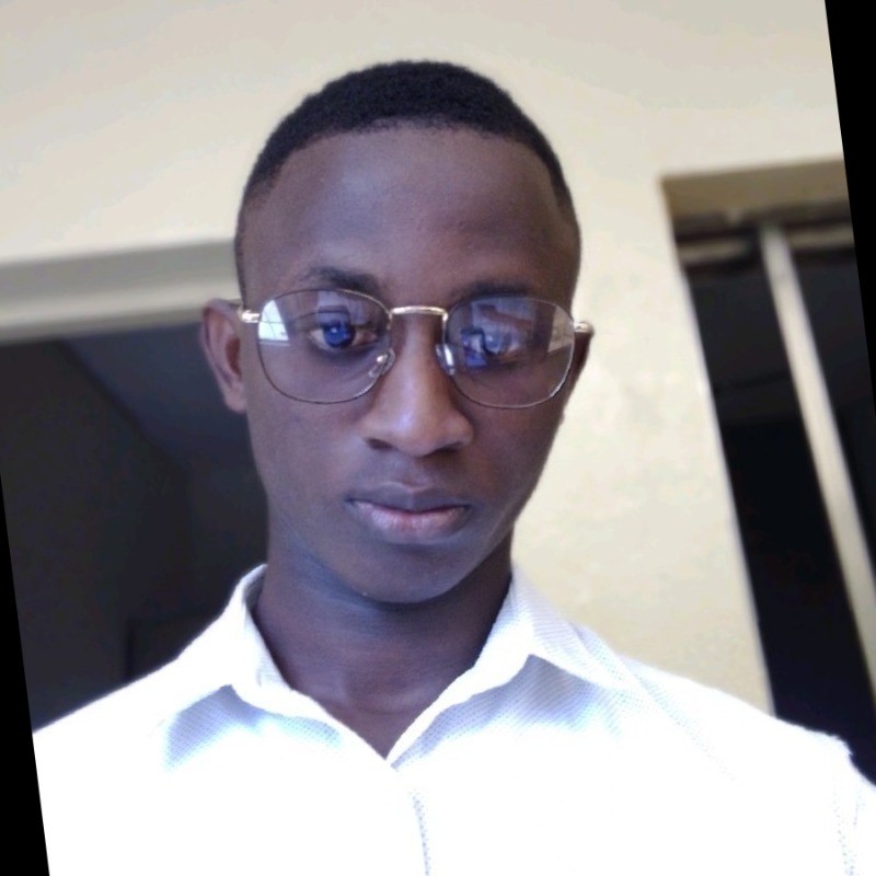 Moise Kumavi - DizzitApp Front-End Developer